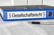 Ist eine Ziviltechnikergesellschaft in Form einer GmbH & Co KG zulässig?