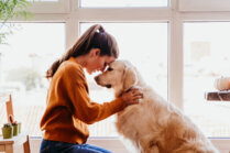 Zum Verbot der Hundehaltung in Mietwohnungen