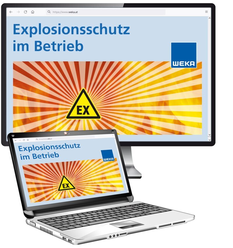 Explosionsschutz im Betrieb - OnlineBuch